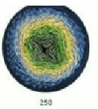 250