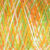 Caterpillar-cotton-CC402-Citrus